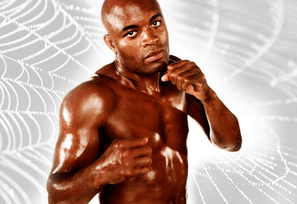 anderson-silva-aranha233