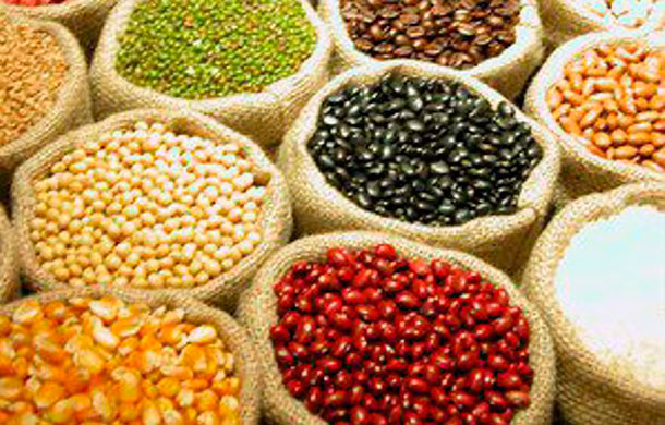 alimentos01