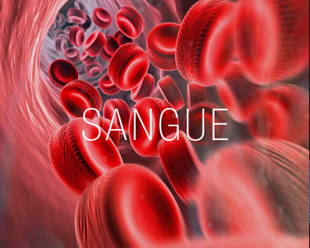 sangue-1HLHLHLH
