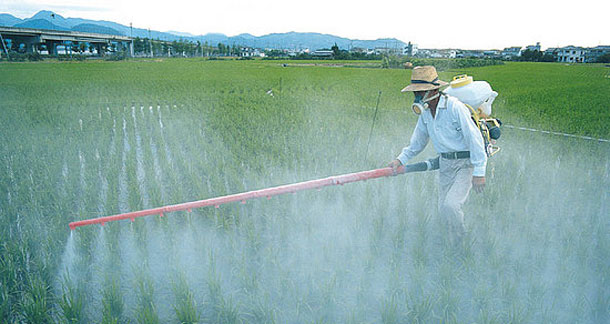 agrotoxicos