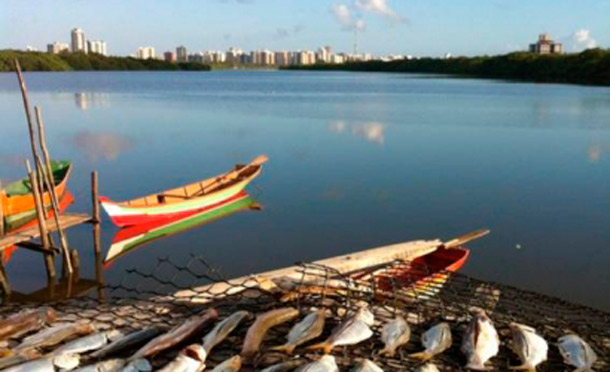 foto-concuros-de-foto-001