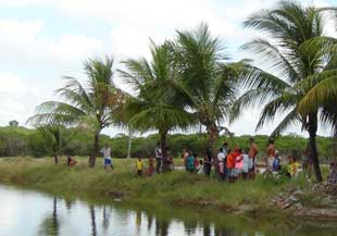 mulher-mrta-ddentro-de-viviro