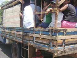 transporte-clandestino1