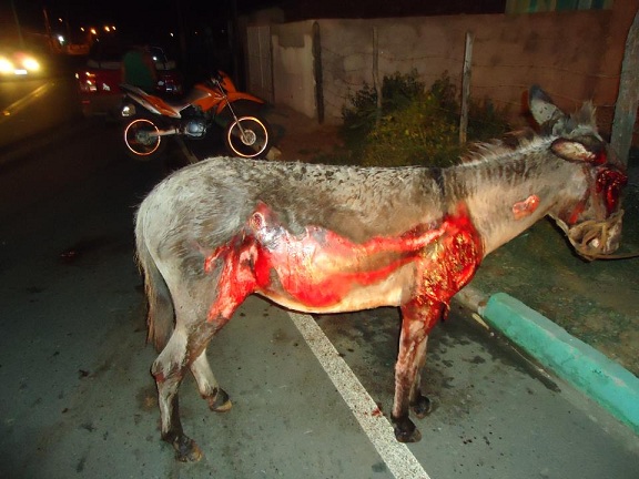 Foto-Joao-matematica1