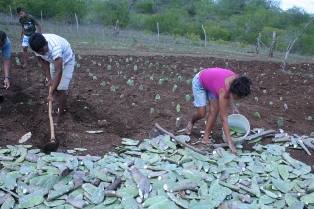 edc8c345b5c919d2dfdf38386ec22534