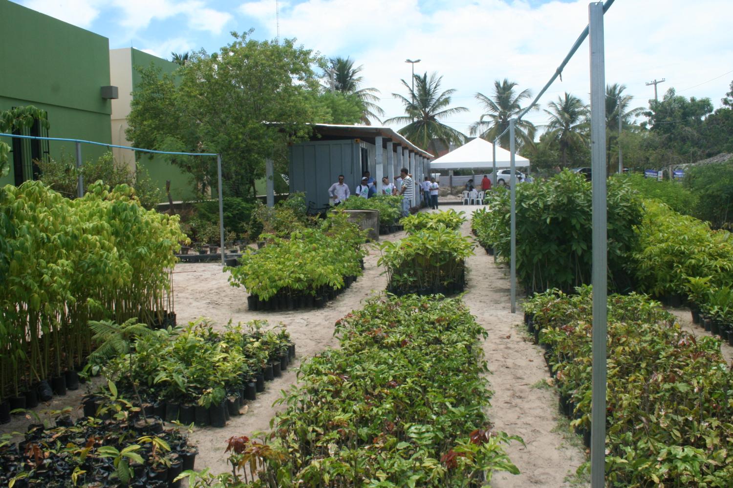 InauguracaoviveiroUFS18032013fotoValeriaLima77