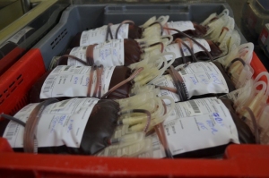 ca02bd89314c25654f31aa9b55cb31c7