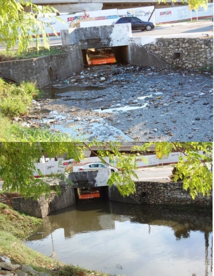 Canal Médice divulgação