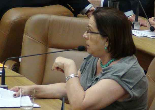 Deputada-Ana-Lúcia--imprensa1-sentada