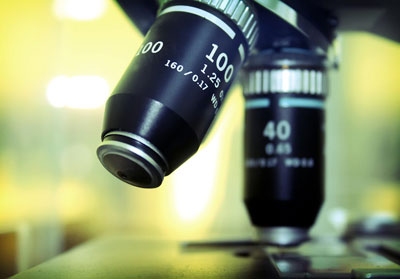 Microscópio Vieira Neto Sedetec