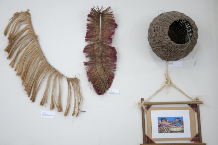 exposição índio Pedro Leite