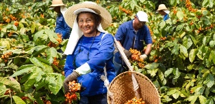 agricultores Fernando Cavalcanti-Ambev