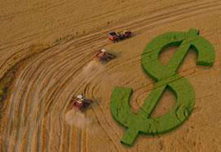 Agricultores-nordestinos-01