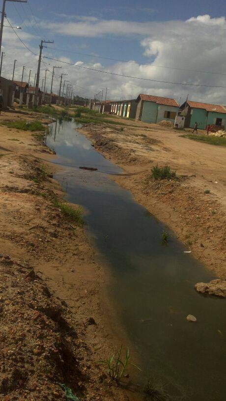 1094966 644510735561422 256832493 n