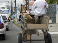 carroca-transito-2-02012010