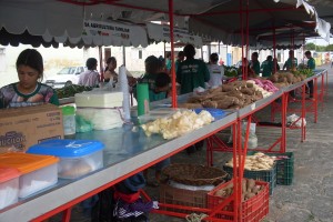 feiraorganicaitabaia