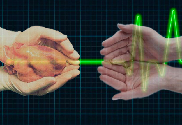 Doadores de órgãos terão prioridade na denominação de logradouros