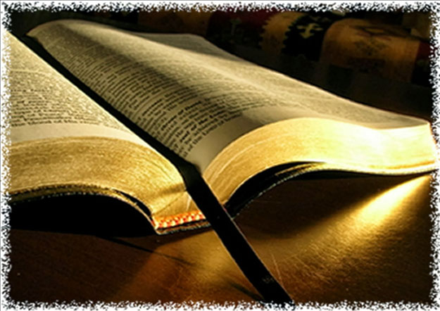 Reflita o que diz a palavra