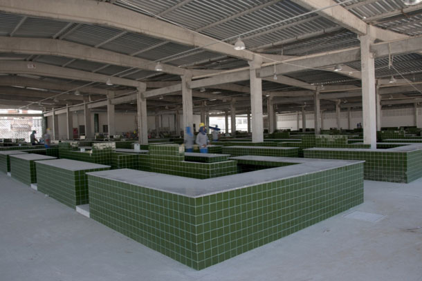 Prefeitura de Aracaju anuncia detalhes de obras que atenderá mais 40 mil pessoas