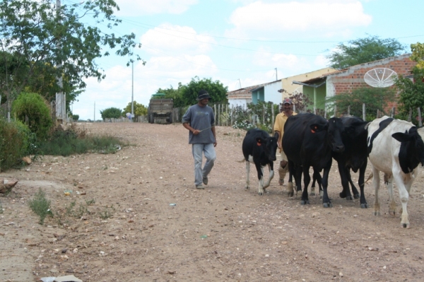 Agricultores receberam R$ 3 mi para acesso à terra e atividades produtivas