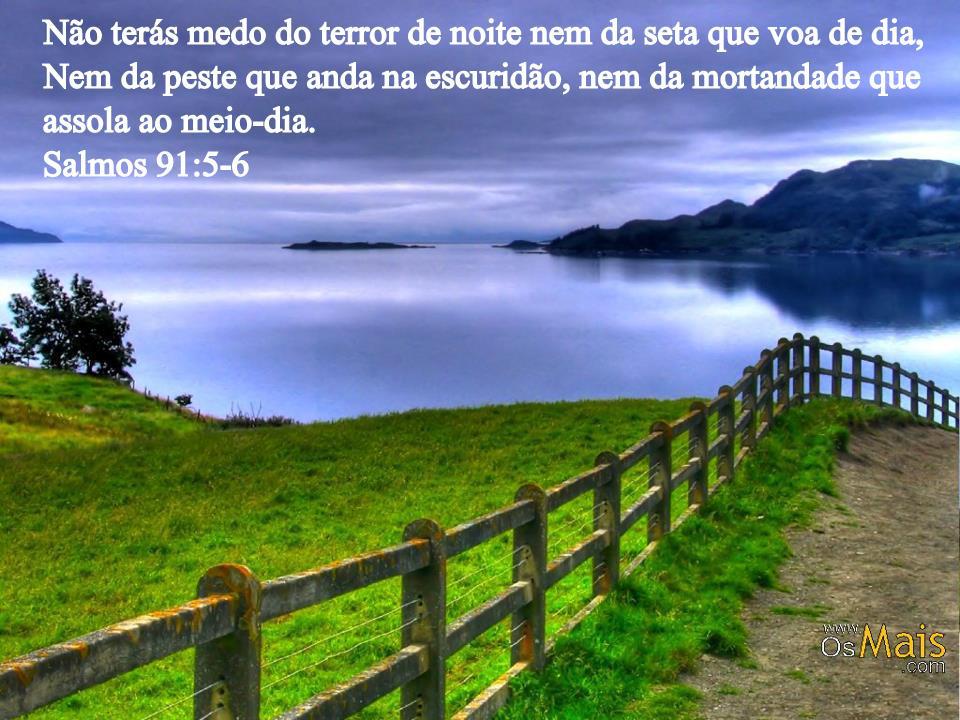 Não tenhas medo do terror da noite… Busque o senhor Deus