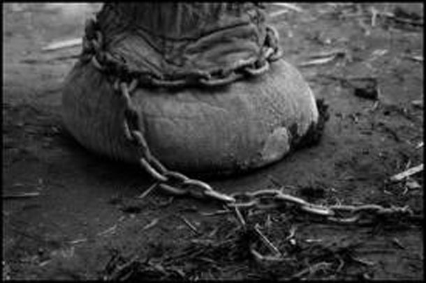 Deputado federal Laércio Oliveira defende a proibição de animais em circo