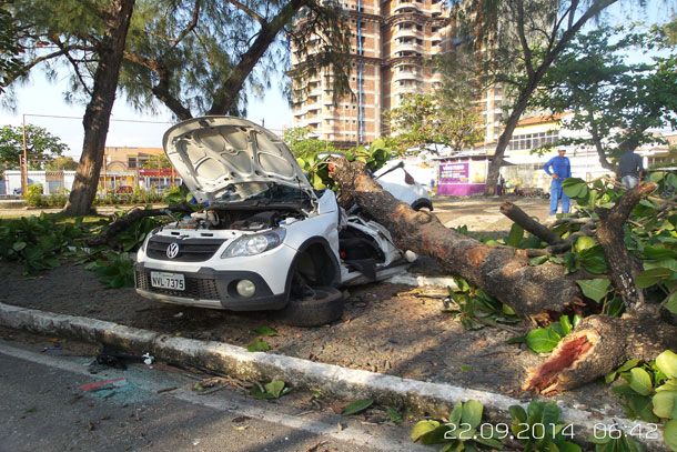 Carro derruba árvore e homem fica preso as ferragens
