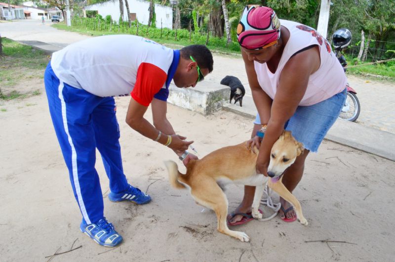 Socorro inicia vacinação antirrábica nesta segunda-feira