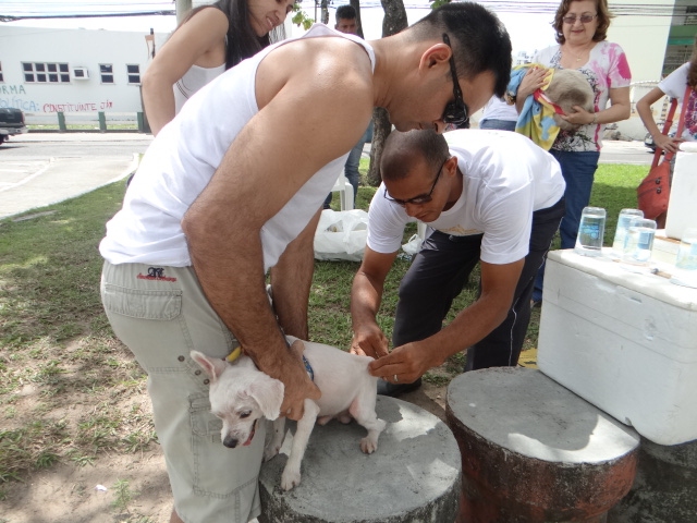 Cães e gatos recebem vacina contra raiva em 37 postos montados pelo CCZ