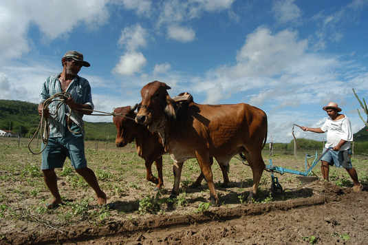 Prefeitura de Pirambu  facilitar a vida de produtores rurais através de ações e serviços