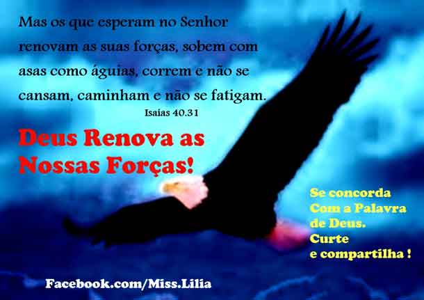 A palavra de “DEUS “