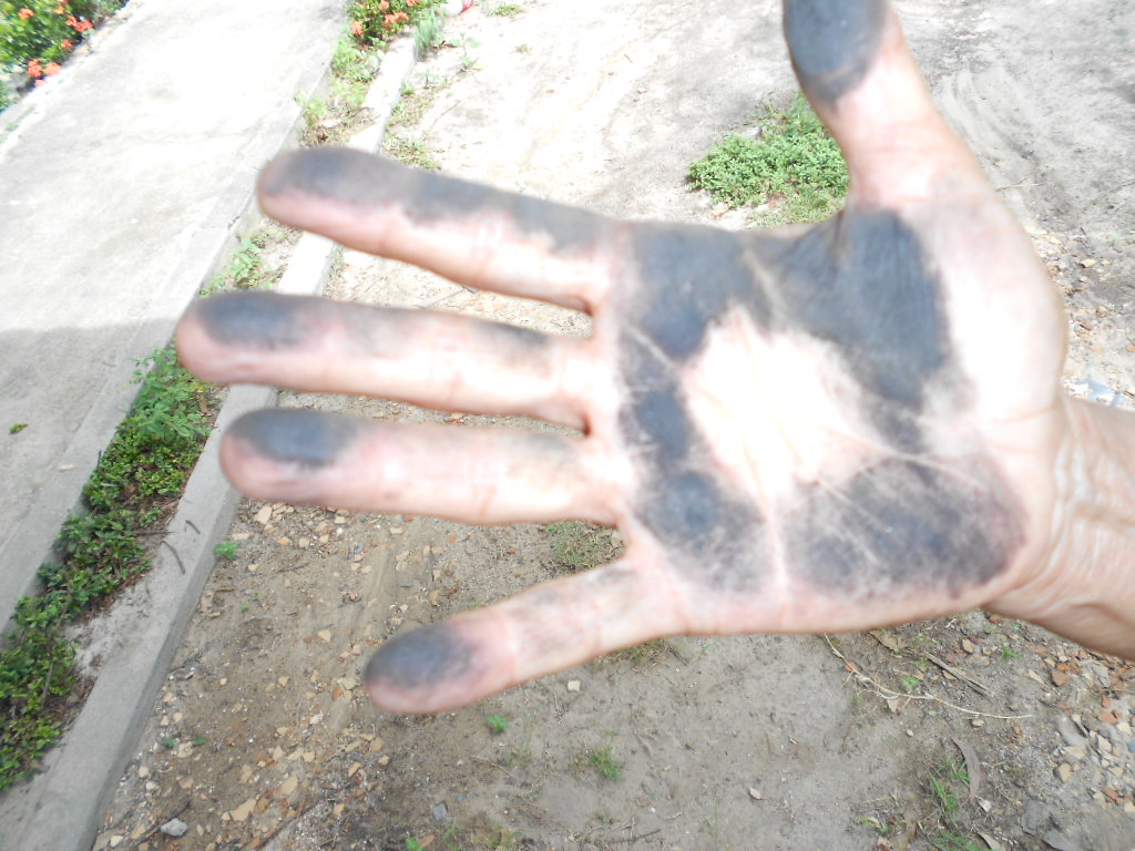 Pesquisa aponta problemas de saúde causado pelo coque de petróleo