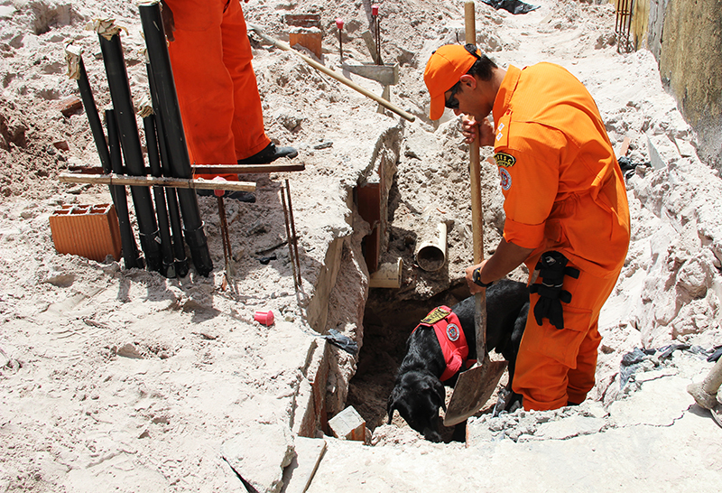 Homem  é assassinado a pauladas e enterrado coberto com concreto