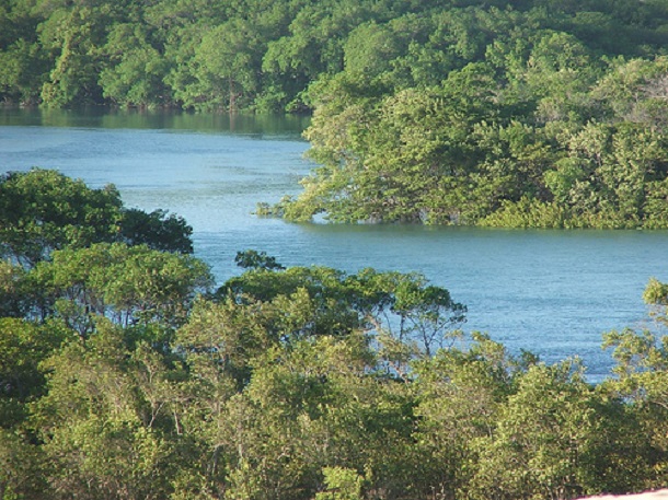 Ministério Público recomenda programa de educação ambiental na Coroa do Meio