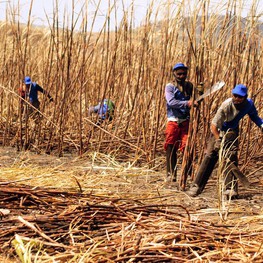 Programa Mão Amiga  inicia pagamento da última parcela do benefício