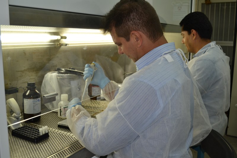 Pesquisadores da USP confirma 14 casos de Chikungunya em Sergipe