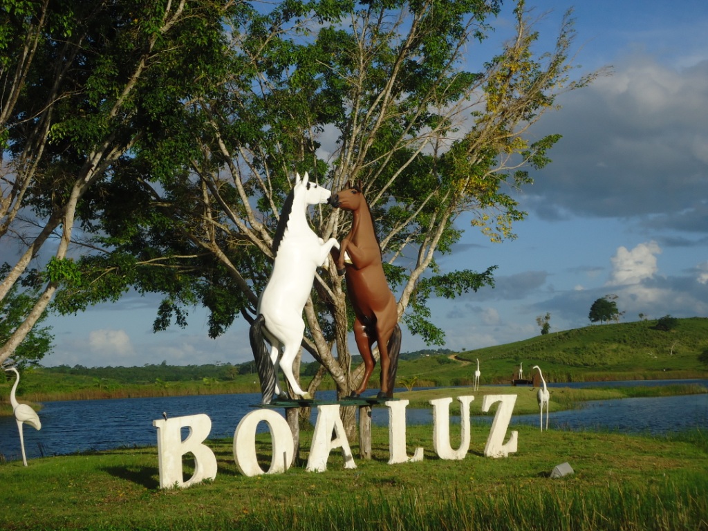 Justiça condena Fazenda Boa Luz por maus tratos a animais