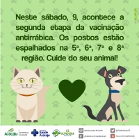 Vacinação antirrábica acontece neste sábado em 42 postos