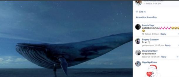 Polícia realiza operação “Baleia Azul”