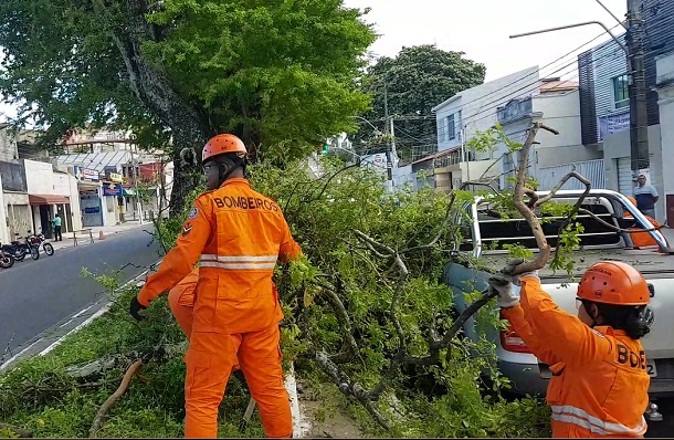 Galho de árvore cai em cima de caminhonete no bairro santo Antônio em Aracaju