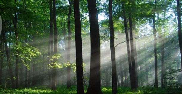 “EMANUEL”  = DEUS CONOSCO