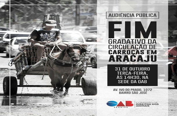 Fim da circulação de carroças em Aracaju será debatido em audiência pública pela OAB/SE