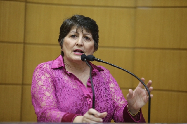 Deputada diz que servidores serão penalizados com congelamento de despesas
