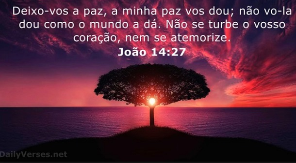 Não se turbe o vosso coração, nem se atemorize.