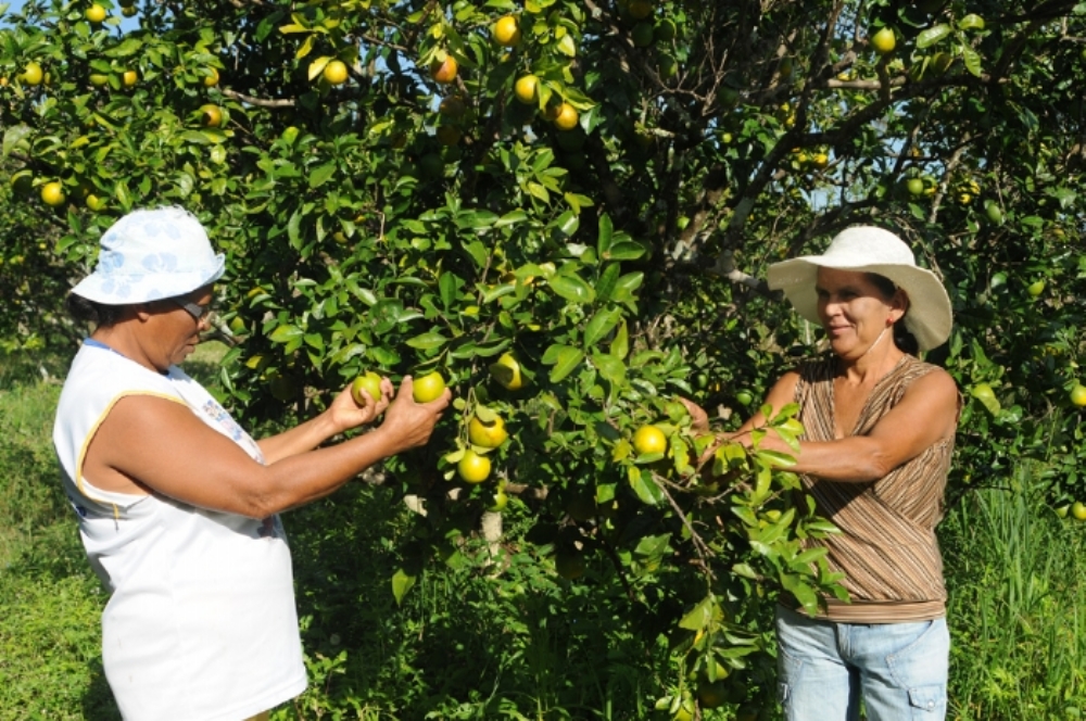 Pagamento da segunda parcela do Mão Amiga Laranja será nesta sexta-feira, 28