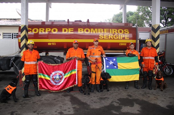 Bombeiros e cães farejadores de Sergipe são convocados para as buscas em Brumadinho