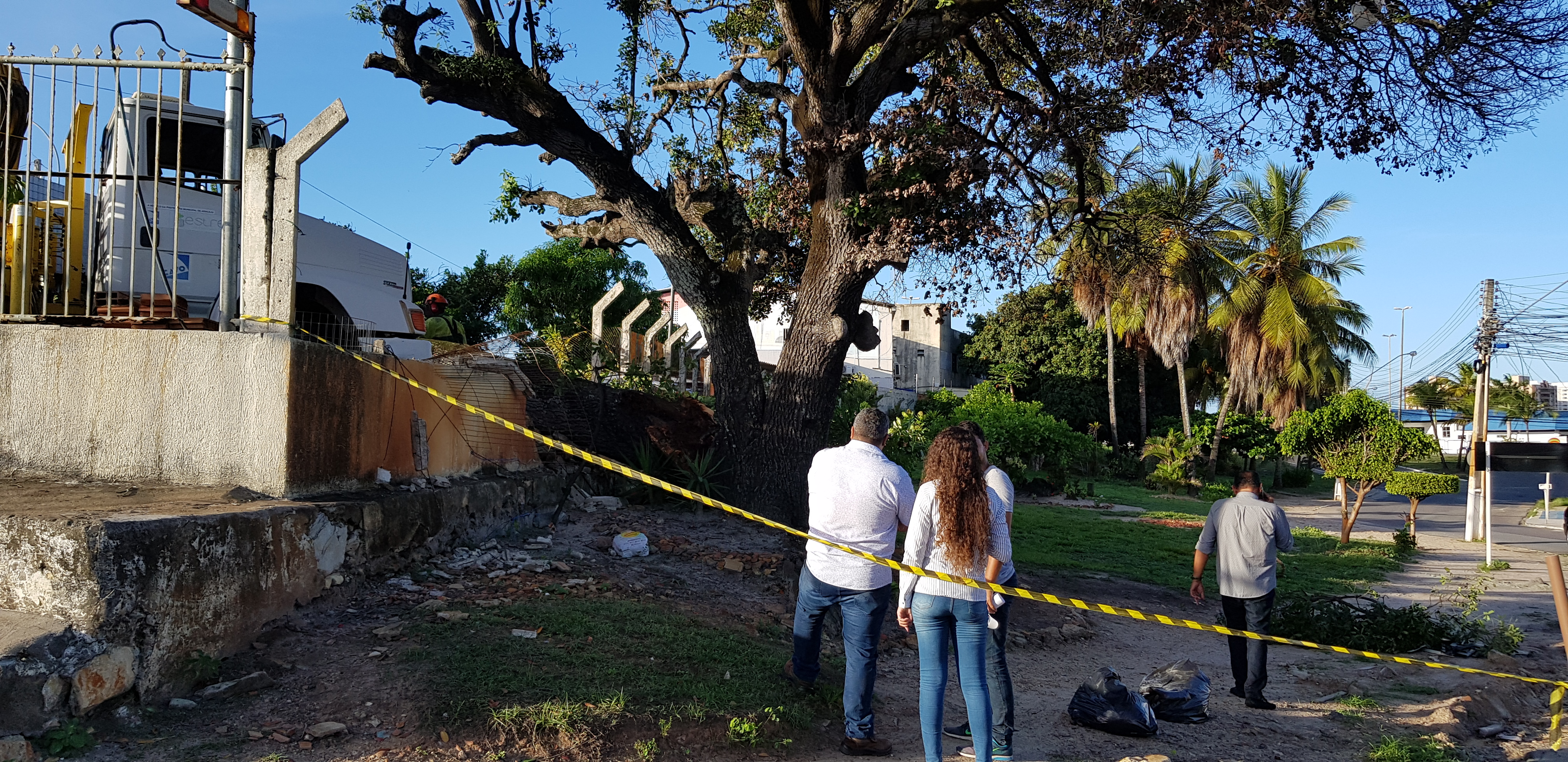 Tronco de árvore no Inácio Barbosa cai e danifica três  veículos