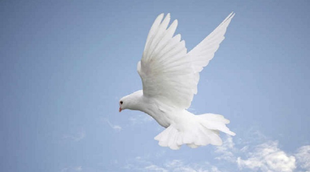 Ó Senhor, quem é como tu entre os deuses?