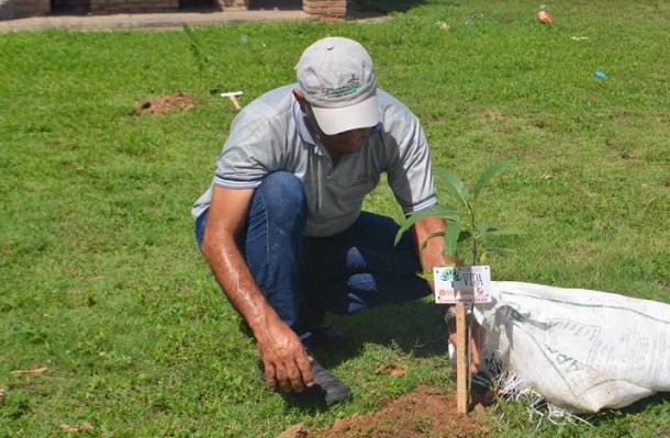 Prefeitura de Nossa Senhora do Socorro realiza plantio de mudas no Conjunto Fernando Collor