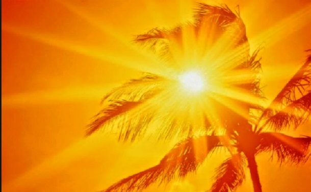 Descobrindo-nos o mistério da sua vontade, segundo o seu beneplácito, que propusera em si mesmo,…